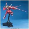 5063041-MG 1/100 Infinite Justice Gundam