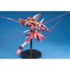 5063041-MG 1/100 Infinite Justice Gundam