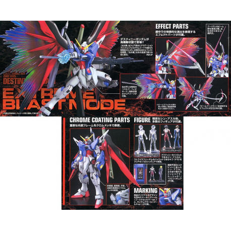5063039-MG Destiny Gundam Special Edition